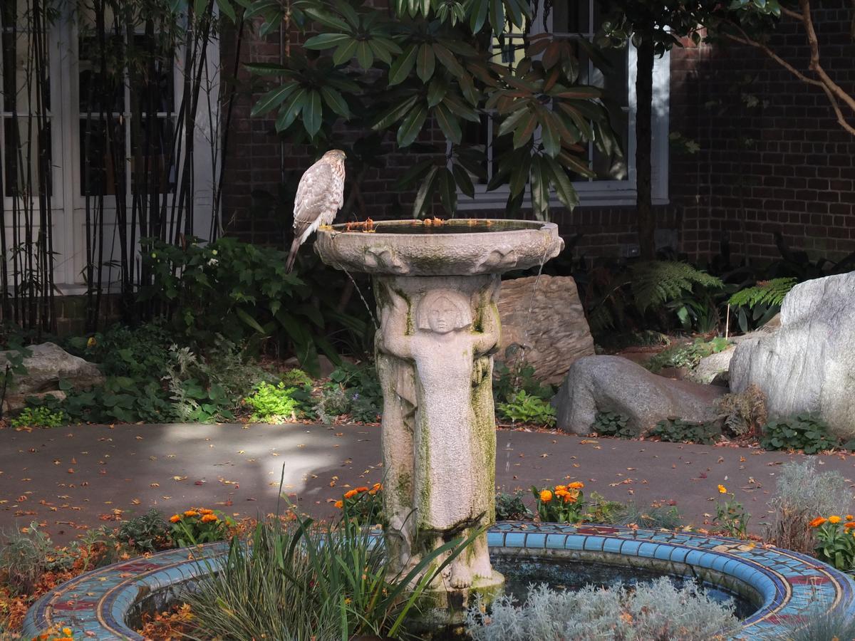 San Francisco Zen Center Bed & Breakfast Dış mekan fotoğraf